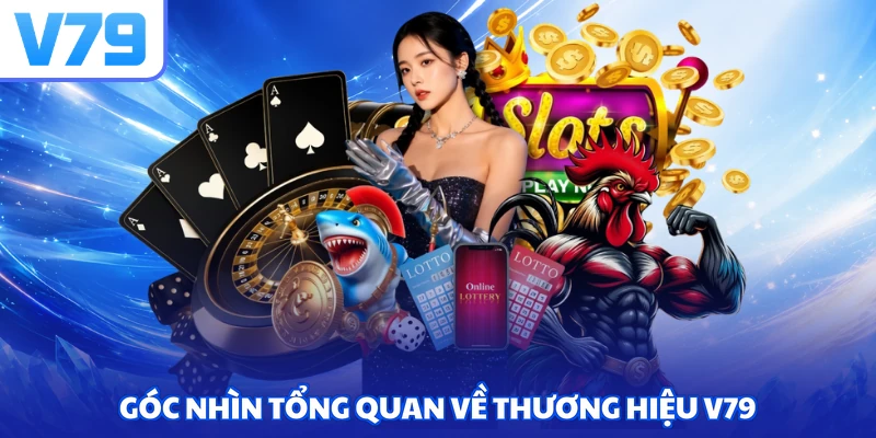 Góc nhìn tổng quan về thương hiệu V79